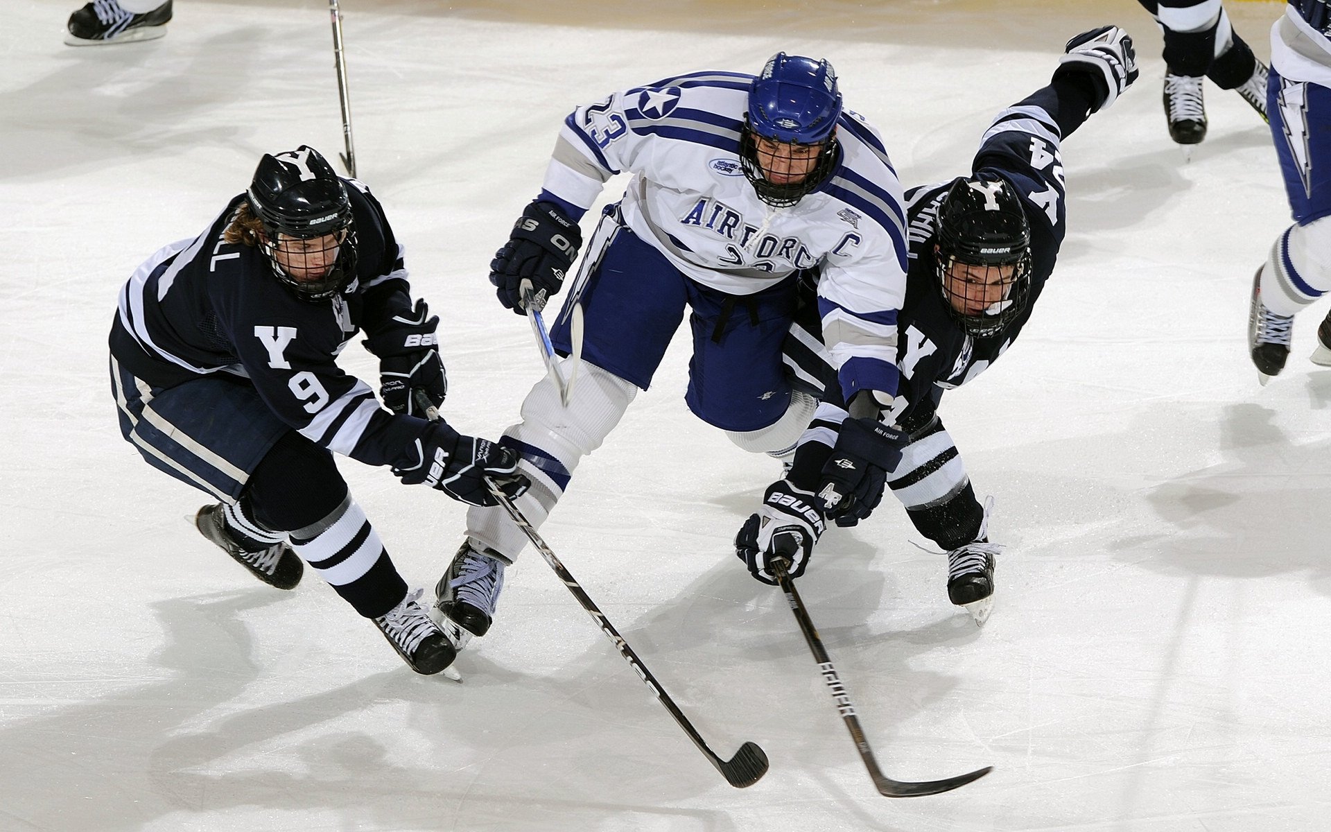鹈鹕展翅,德甲争冠,跨越体育的焦点对决