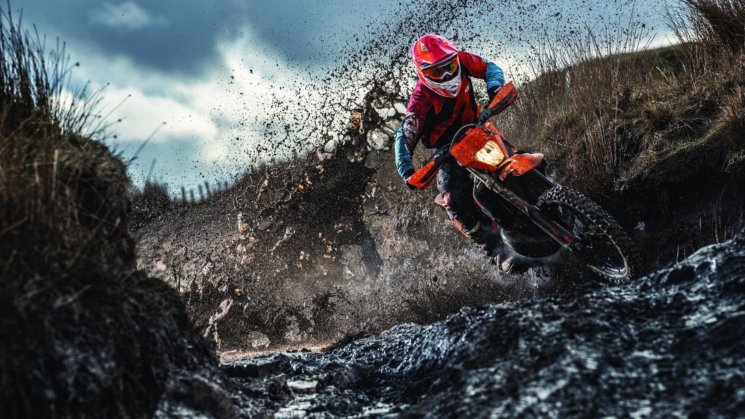 欧文独舞破雄鹿铁阵,广东队稳扎稳打展东方韧性